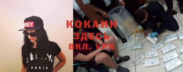дурь Кулебаки